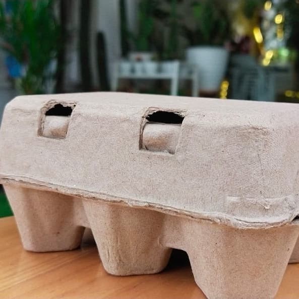 (Expert) PAPER EGG 6 LUBANG / BOX TELUR KARTON 50 PCS