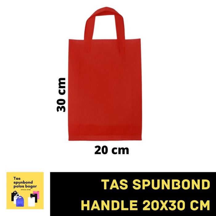

Pesta- GOODIE BAG TAS SPUNBOND HANDLE 20x30 cm - LUSINAN
