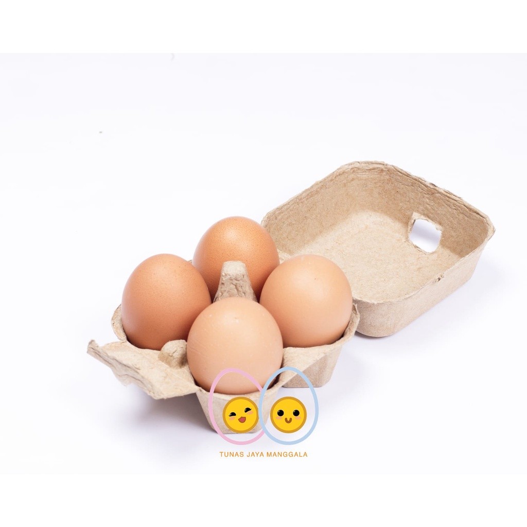 Paper Egg Tray 4 Lubang Kertas Coklat Polos