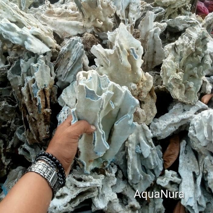 1 karung batu karang dead rock deadrock kolam aquarium