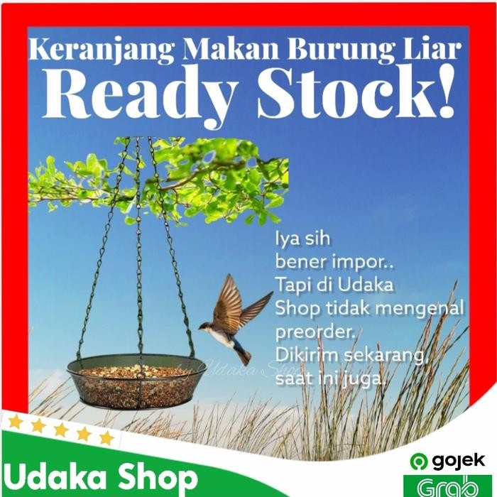 TERLARIS tempat makan burung liar gantung