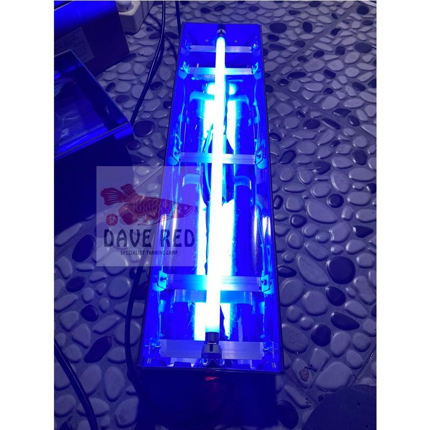 PREMIUM 1 Aquazonic Lampu Tanning Arwana Super Red