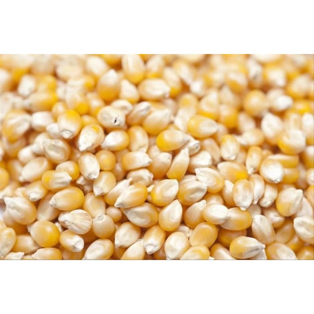 

Biji Jagung Popcorn 200g