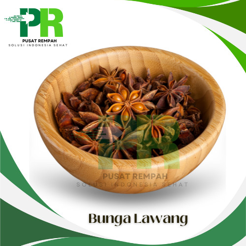 

Bunga Lawang Utuh Alami Star Anise Premium / Bumbu Pelengkap Masakan Bunga Pekak Lawang Kering Pusatrempah