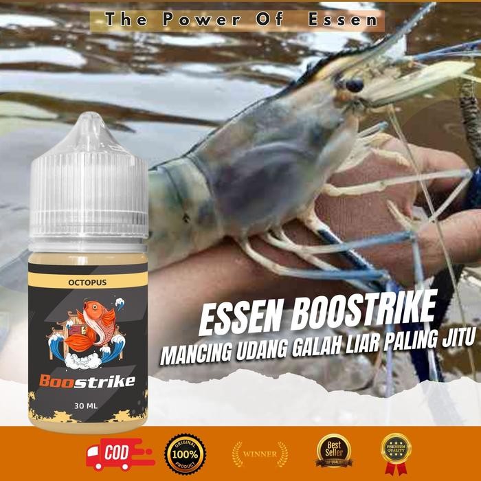 Terbaru Essen Mancing Udang Galah Liar Paling Jitu Ikan Pancing Umpan