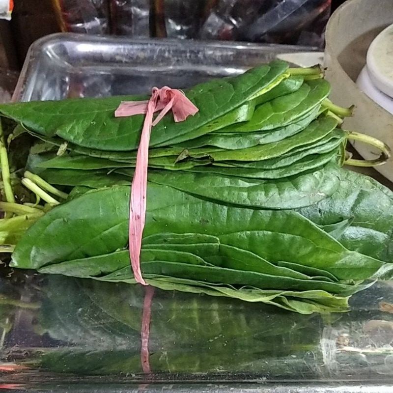 

sirih segar 1 ikat