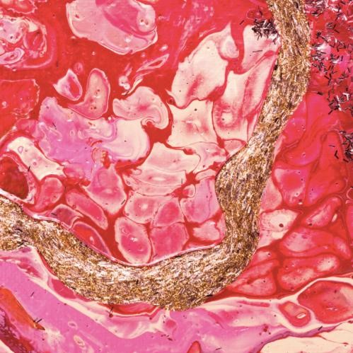 

Paket Cat Lukis Akrilik 250Ml 7 Warnaa #Gratisongkir