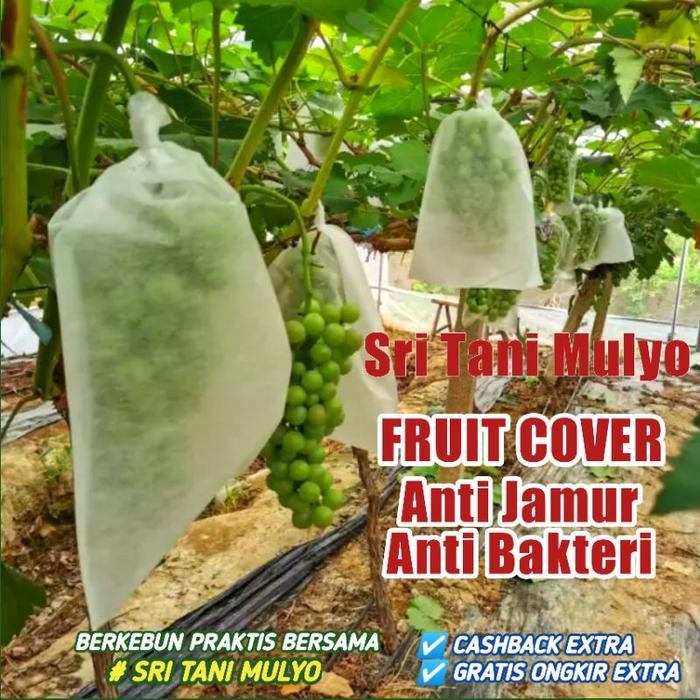FRUIT COVER Pembungkus Buah Buahan - Brongsong Buah Mangga, Apel, Anggur, Jambu, Klengkeng.