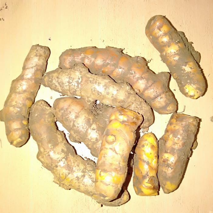 

Terlaris Kunyit Segar 1Kg - Produk Asli Dengan Berat 1 Kilogram