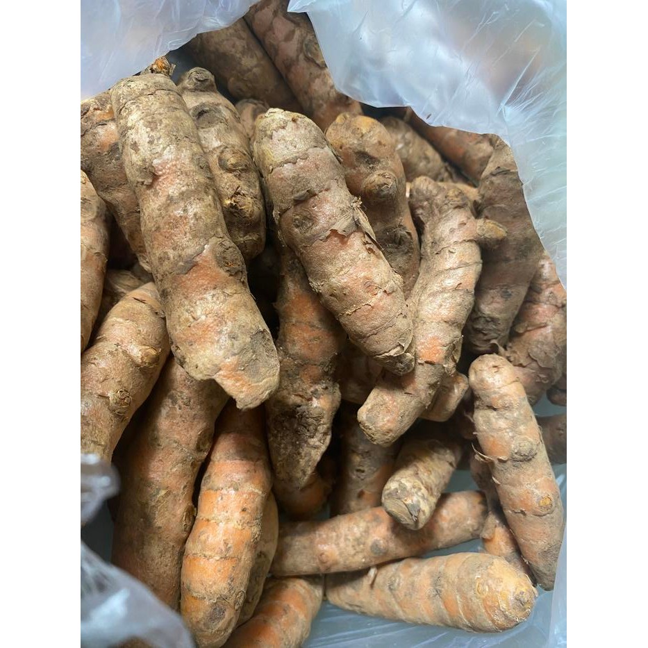 

Terlaris Kunyit Fresh / 1 Kilogram / Besar / Grosir / Super / Jumbo