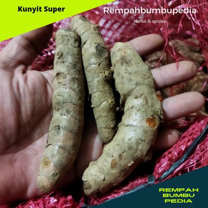 

Terlaris Kunyit Segar 1Kg