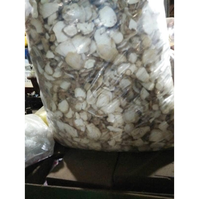 

Terlaris Kunyit Putih Iris Kering Asli Alami 250 Gram