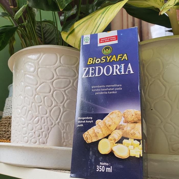 

Terlaris Obat Kanker Zedoria Probiotik Kunyit Putih
