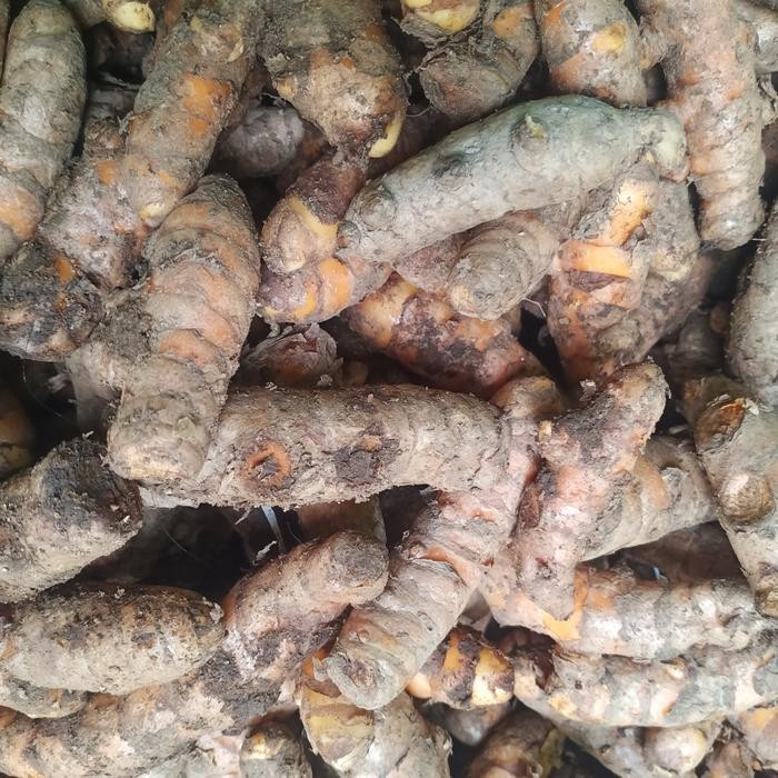 

Terlaris Kunyit Kuning Besar 1 Kg Fresh