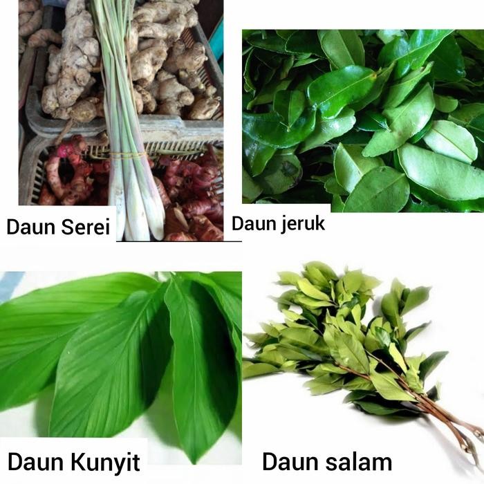 

Terlaris Daun Serei, Daun Jeruk, Daun Salam, Daun Kunyit 2000