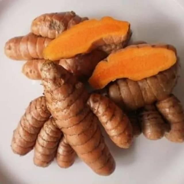 

Terlaris Kunyit Segar 1Kg Langsung Dari Kebun