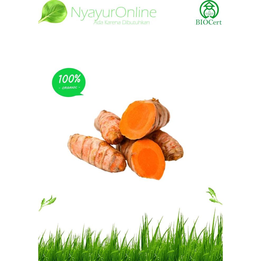 

Terlaris Kunyit Organik 200 Gram
