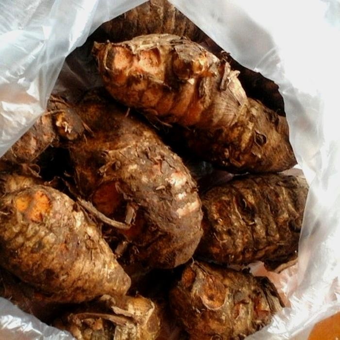 

Terlaris Biang Kunyit Segar 500Gram