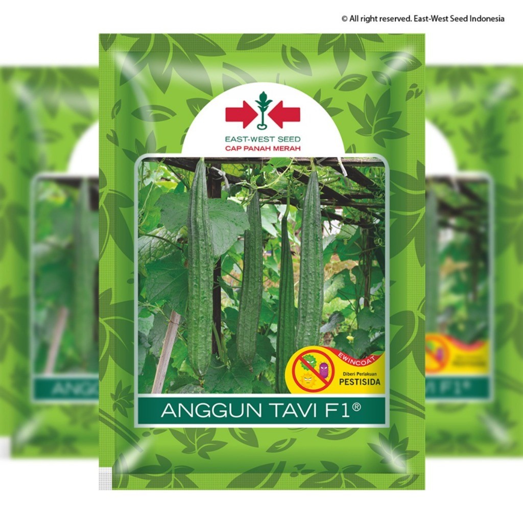 75 BUTIR BENIH OYONG ANGGUN TAVI F1