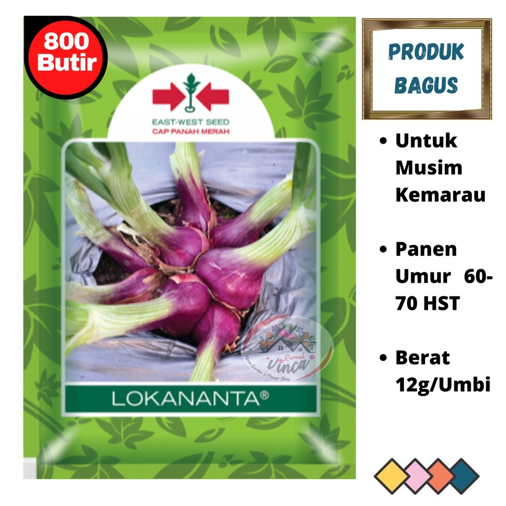 Bibit Benih Bawang Merah Biji TSS LOKANANTA 800butir Dari Cap Panah Merah