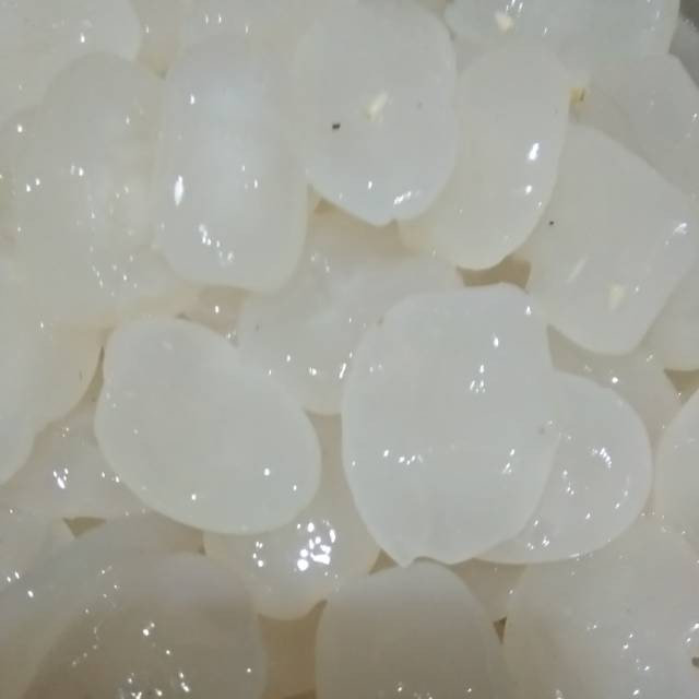 

Sensasi Lezat Kolang Kaling Mentah 1Kg