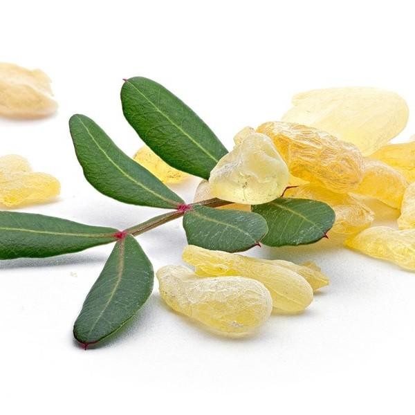 

Natural Mastic Gum / Original Greece Chios