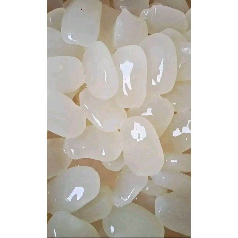 

Andrianbijaksana Biji Kolang Kaling 1 Kg Super Kenyal Asli 100% Fresh Tanpa Pengawet