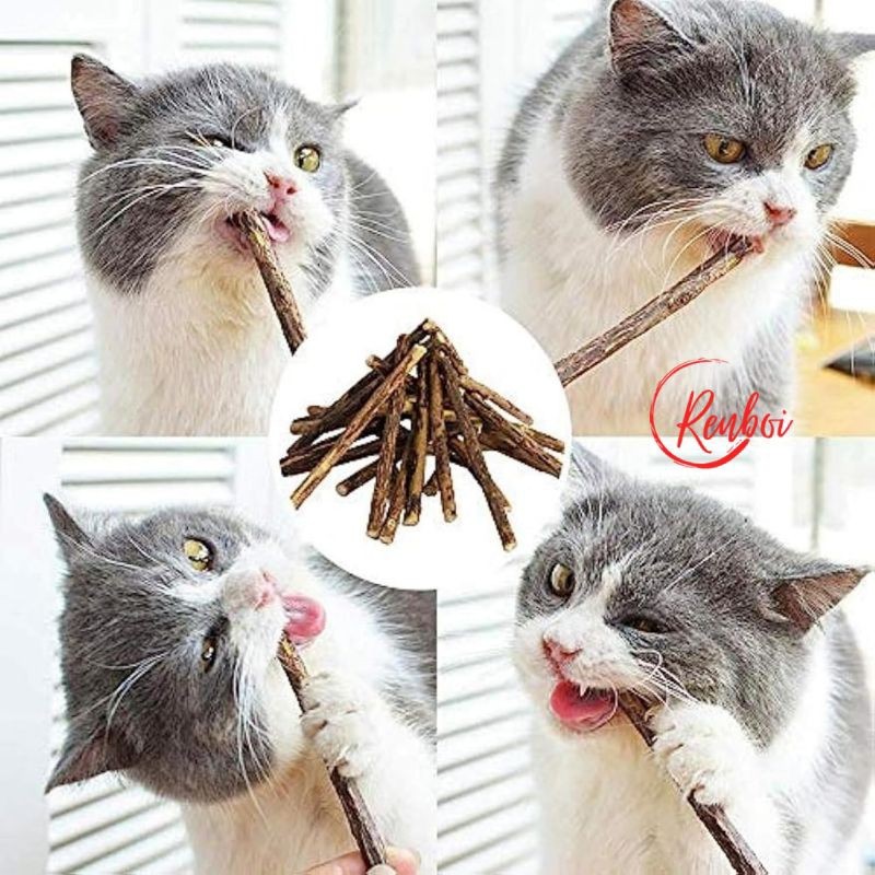 

Andrianbijaksana Catnip Stick Isi 3Pcs Anti Stres Kucing