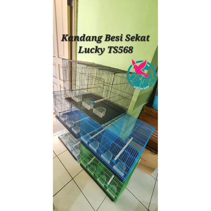 TS568 LUCKY KANDANG SEKAT BESI P.60 x L.40 x T.40 CM KOTAK LUCKY KANDANG SEKAT UMBARAN BURUNG SUDAGR