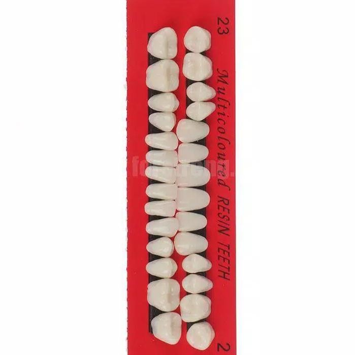 Gigi Palsu Resin untuk Gigi Ompong Gigi Sementara 1 Set 28 Pcs