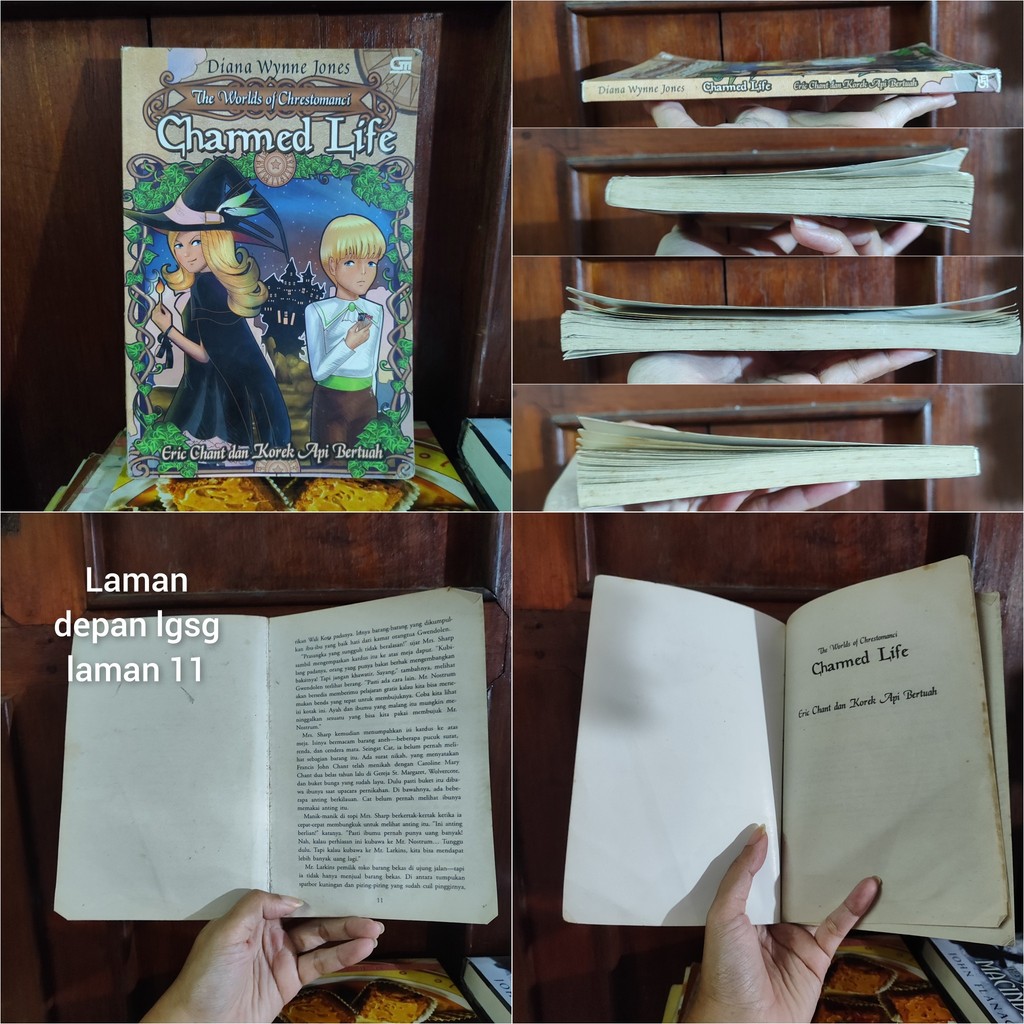 Diana Wynne Jones: The Worlds of Chrestomanci Charmed Life