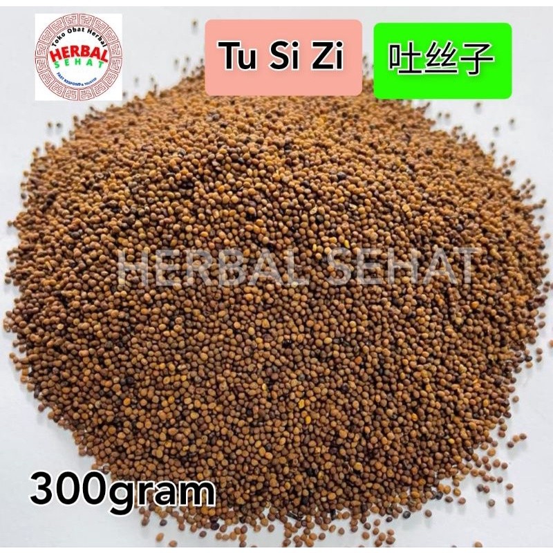 

Tu Si Zi 300 gram Thu Si Ci Semen Cuscutae Chinensis PREMIUM