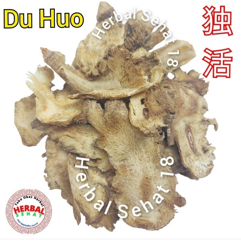 

Du Huo / Duhuo / Tuhuok /duhuok / du huok/ Du Huo Pian Radix Angelicae Pubescentis PREMIUM