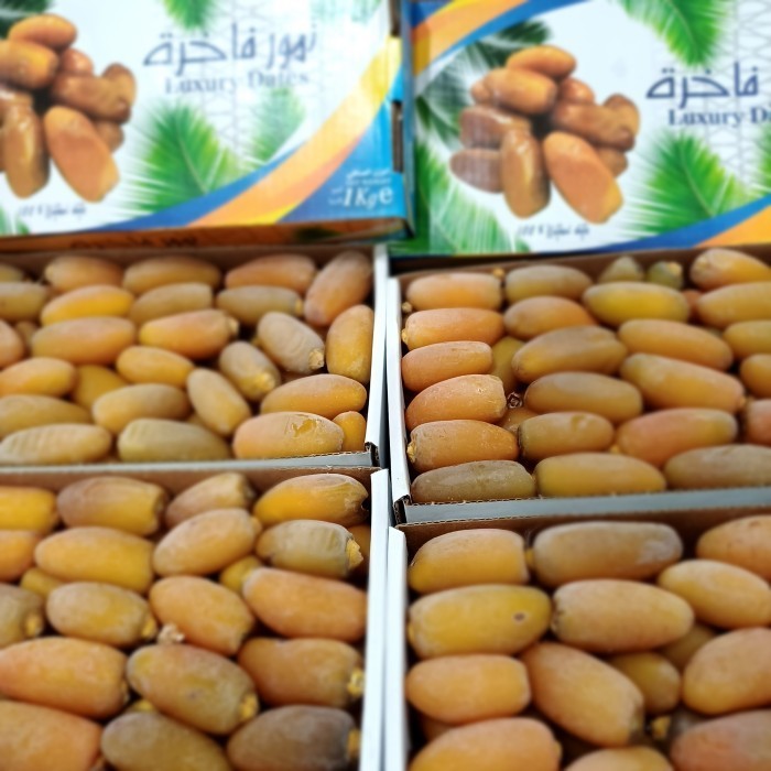 

YOUBBYSHOP KURMA MUDA RUTHOB LIBYA 1KG PREMIUM PANEN TERBARU