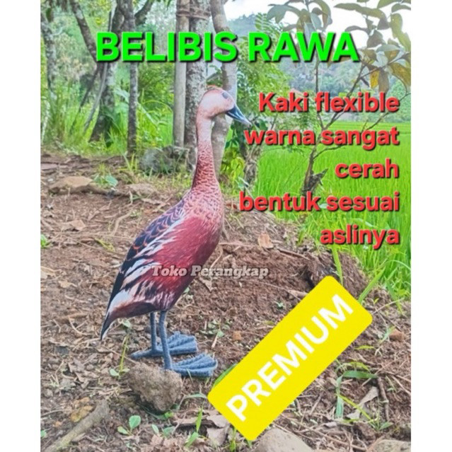 Patung Jontrot Belibis RAWA