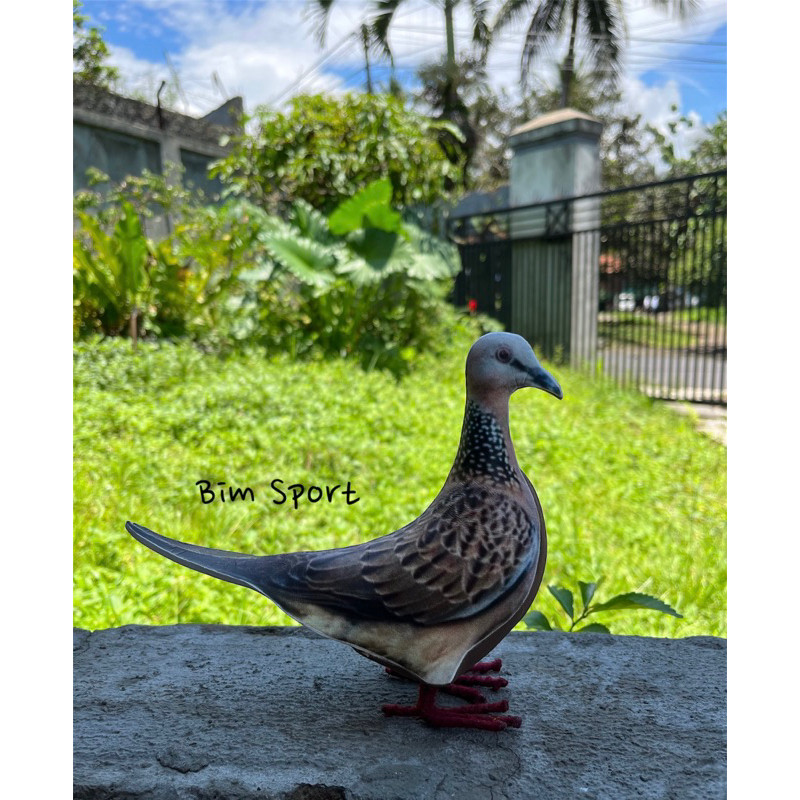 Patung Jontrot Burung Tekukur Tikukur