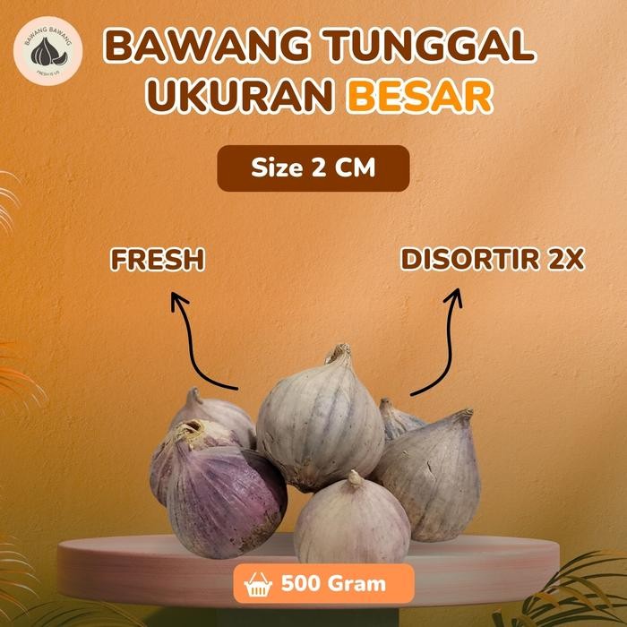 

Bawang Putih Tunggal Lanang BESAR 2 cm 500 GR