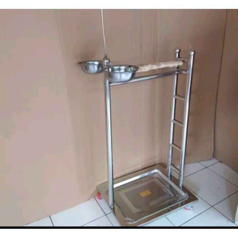 TANGKRINGAN BURUNG PARROT KAKAK TUA