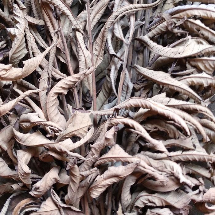 

100gr daun sungkai kering/daun jati sabrang teh daun sungkai