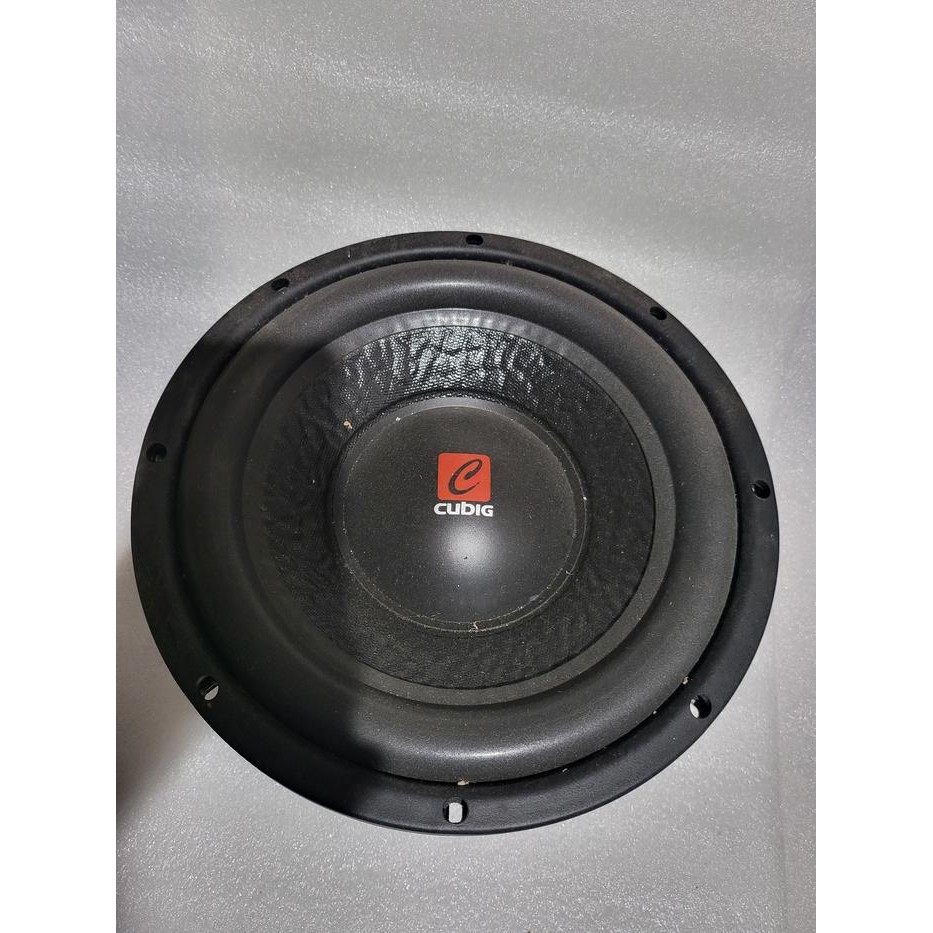 PREMIUM Subwoofer 10 inch Double Magnet Cubig 251 Rare, Langka, Audio