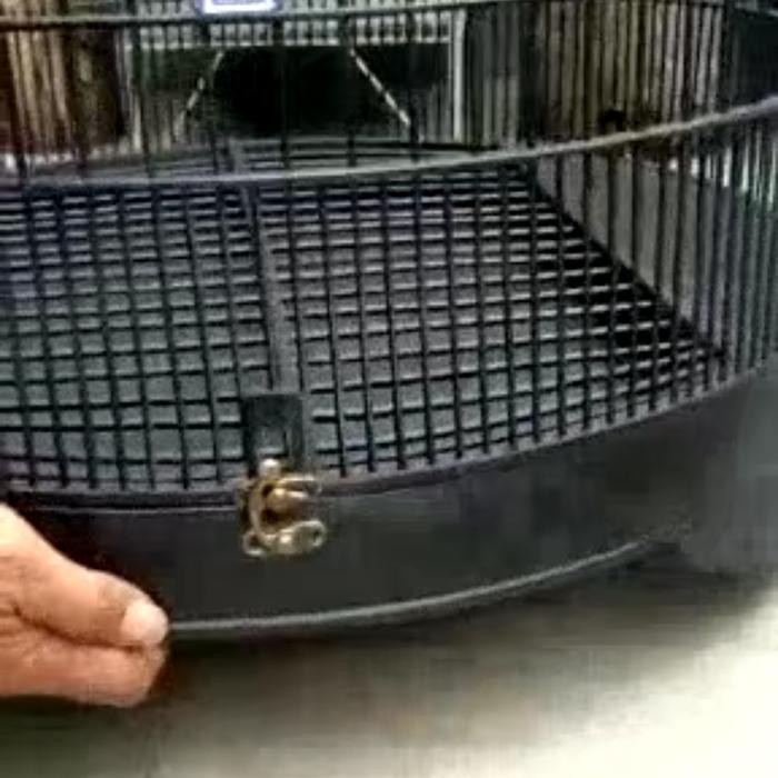 PREMIUM klem koper sangkar murai