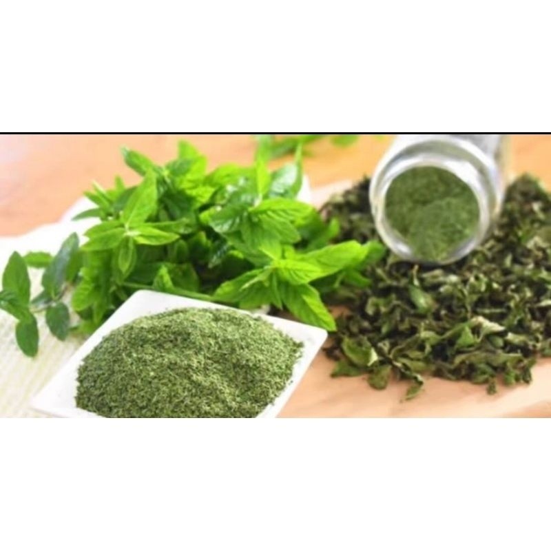 

WHYN!! SEHATKUHERBAL Spearmint Tea Untuk Jerawat Hormon dan PCOS Isi 30 Tea Bag