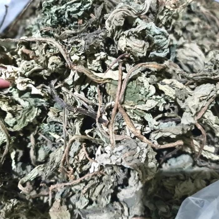 

TERMURAHH!! Daun Insulin Kering 1kg