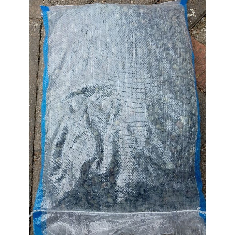 Flowersbloom Batu Koral Sikat Hitam/Pancawarna 10Kg Karungan