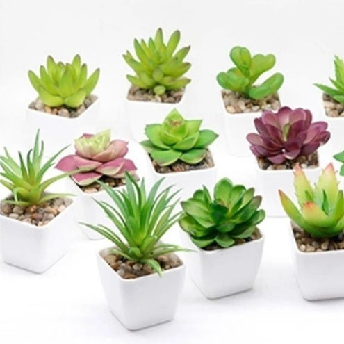 Flowersbloom Kaktus Mini / Tanaman Hiasan / Tanaman Aneka Macam Kaktus / Tanaman Plastik