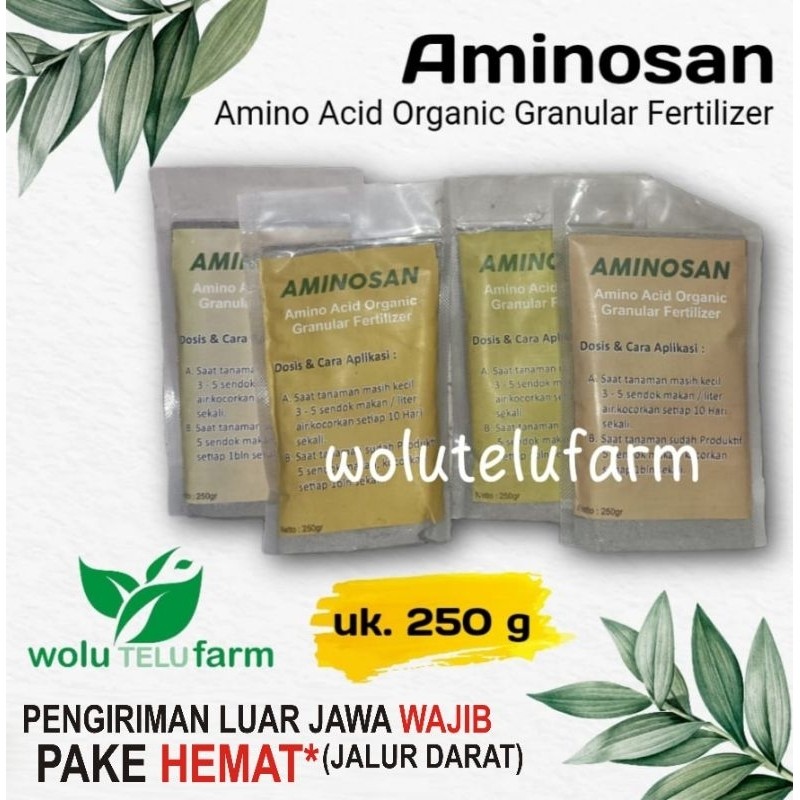 Flowersbloom Pupuk Aminosan Uk 250 Gr
