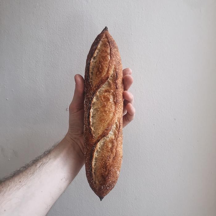 

JTTOP" [BULE BREAD] SOURDOUGH BAGUETTE