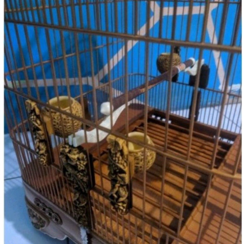Cepuk Cangkir Mangkok Pakan Burung Anis/Murai Motif Anggur