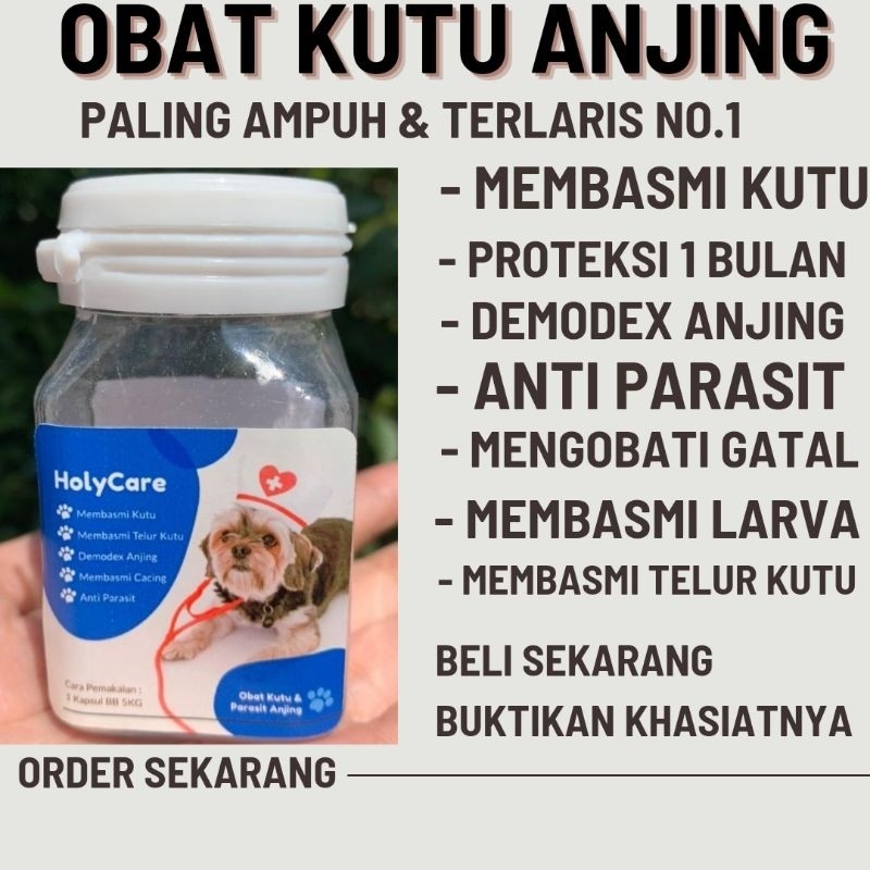 Obat Kutu Anjing Demodex Paling Ampuh Holycare