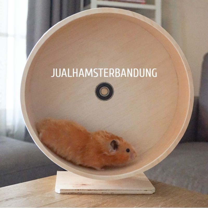 KINCIR KAYU HAMSTER / LANDAK MINI 25CM / JOGGING WHEEL HAMSTER 25CM / ROLLING WHEEL HAMSTER DIAMETER
